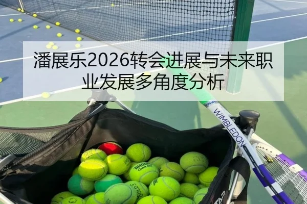 潘展乐2026转会进展与未来职业发展多角度分析