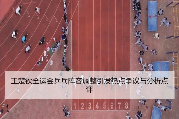wang-chu-qin-quan-yun-hui-ping-pang-zhen-rong-tiao-zheng-yin-fa-re-dian-zheng-yi-yu-fen-xi-dian-ping-2-421.jpg
