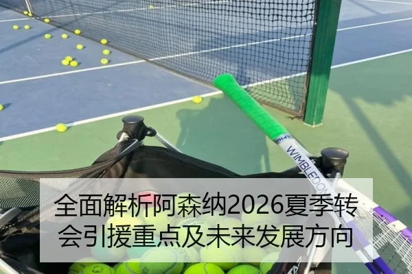 全面解析阿森纳2026夏季转会引援重点及未来发展方向
