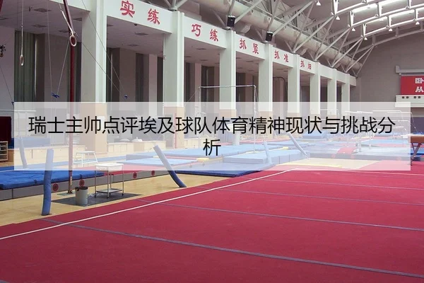 瑞士主帅点评埃及球队体育精神现状与挑战分析